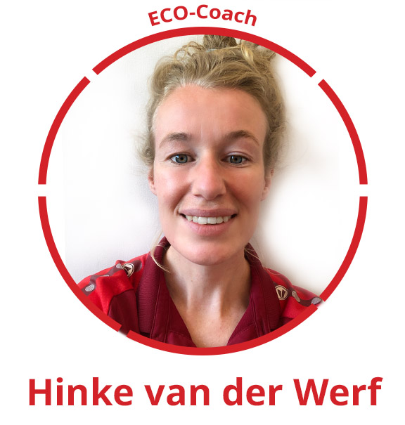 Hinke Van Der Werf